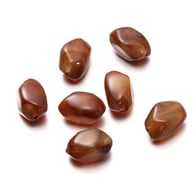 bronz Resim5