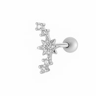 2604-2# Silver Picture10