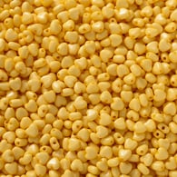 Yellow/100piece Picture10