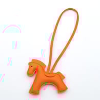 Orange Picture3