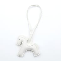 White Picture11