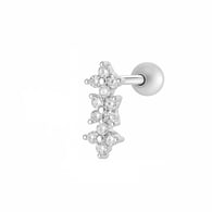 2604-5# Silver Picture13