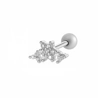 2604-3# Silver Picture11