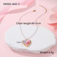 NMSN-J642-2 Picture2