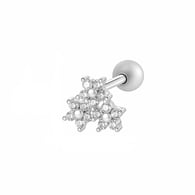 2604-4# Silver Picture12