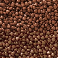 Brown/100piece 