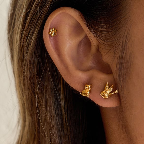 1 Set Vivid Animal Stainless Steel Gold Color Women's Earring Sets 2