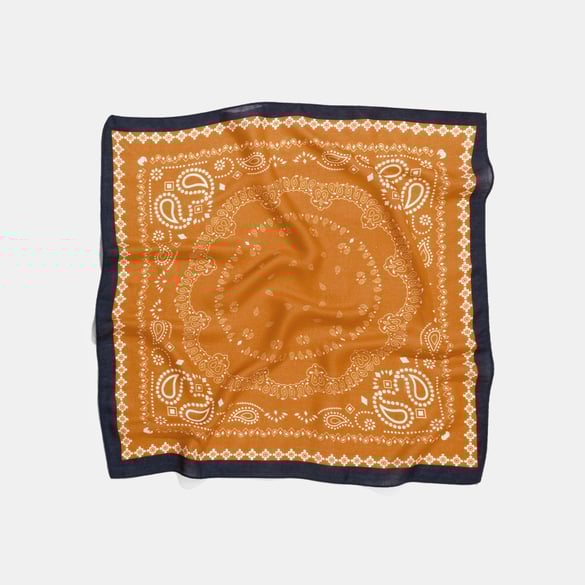 1 Piece Retro Mixed Color Paisley Pattern Polyester Bandana 2