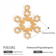 PJ91081-2 pezzi Immagine14