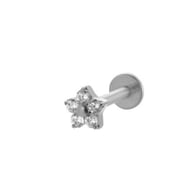 550—Zilver Afbeelding3