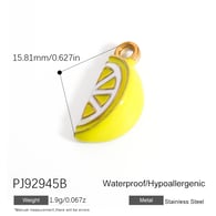 PJ92945B Immagine39