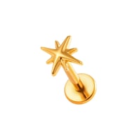 T2551-7#goud Afbeelding13
