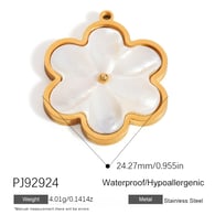 PJ92924 Immagine66
