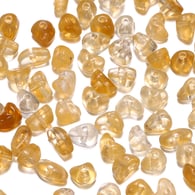 Amber/100piece Picture25