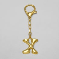 X Picture4
