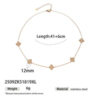 2509ZK51819XL 