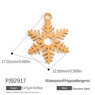 PJ92917-2 pezzi Immagine11
