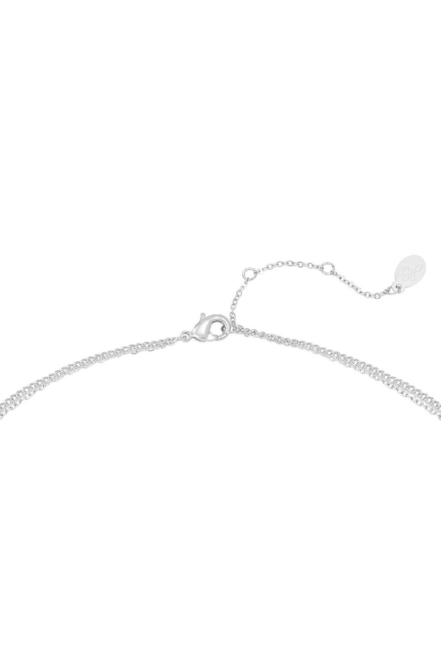 Collier Complement Argenté Acier inoxydable Image3