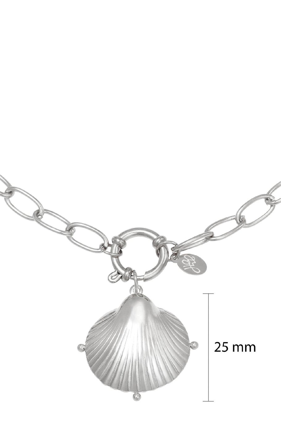 Halskette Clam Shell Silber Edelstahl Bild2