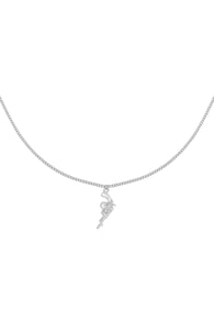 silver Picture2