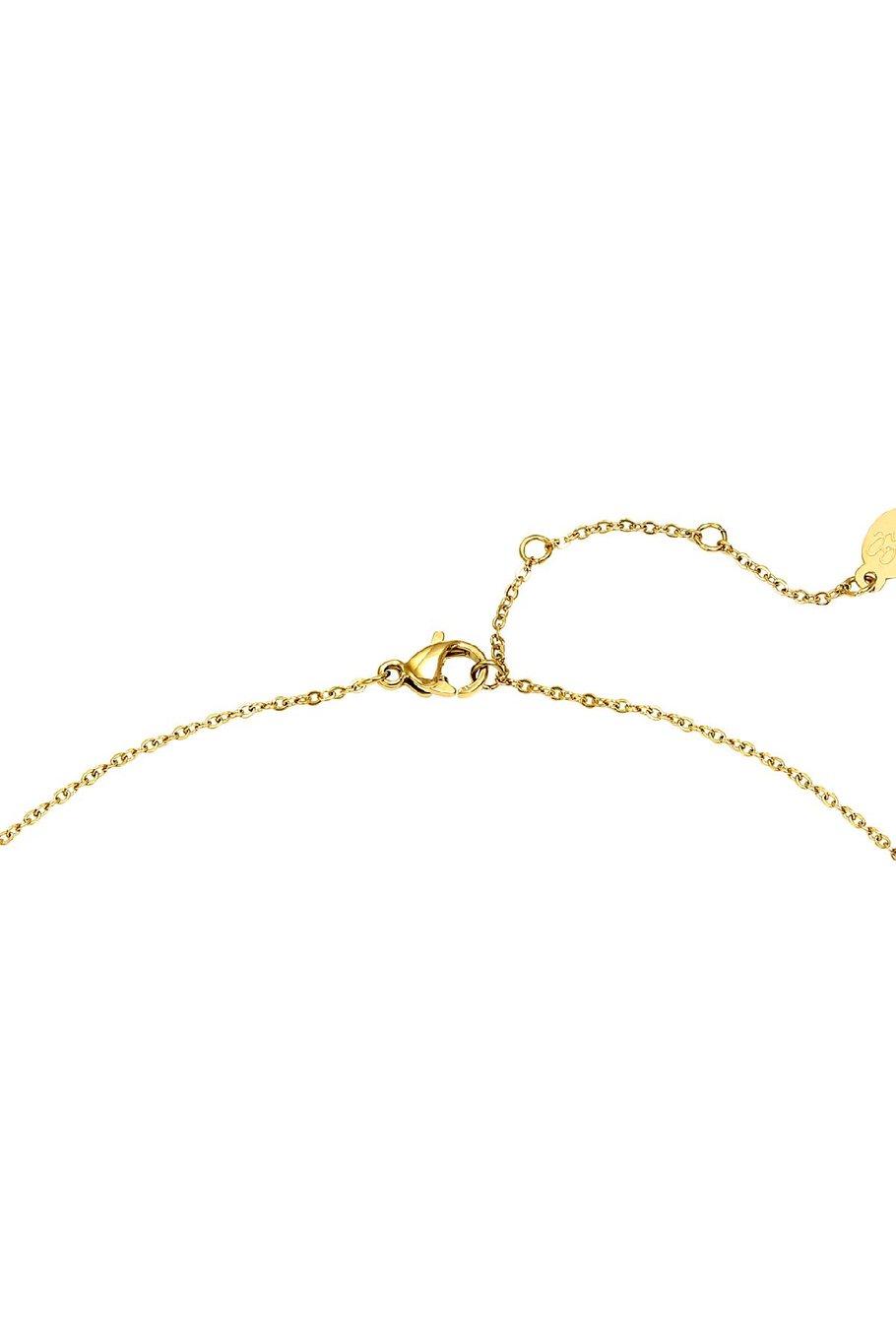 Necklace Butterfly Gold Color Stainless Steel h5Picture4