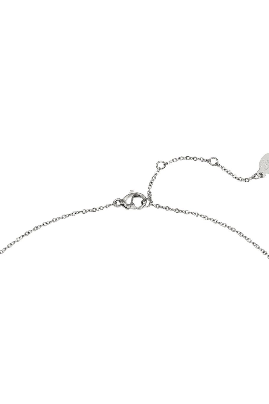 Necklace Always in my Heart Silver Color Stainless Steel h5Picture2