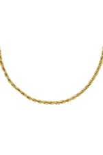 Gold color / Necklace Twisted Chain Gold Color Stainless Steel Picture2