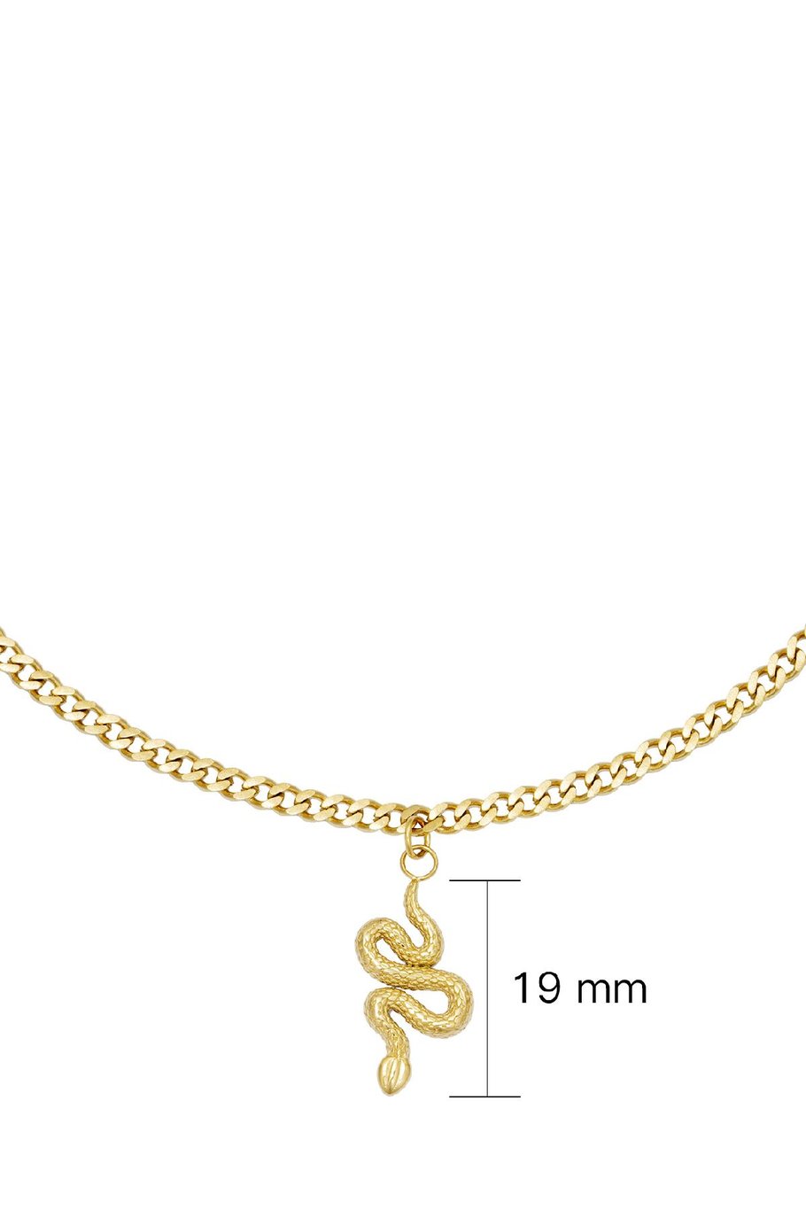 Collier Shiny Serpent Couleur or Acier inoxydable Image4