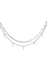 silver Picture2