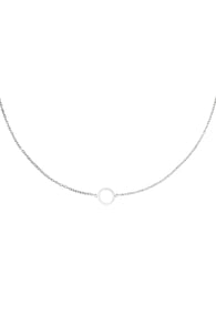 silver Picture2