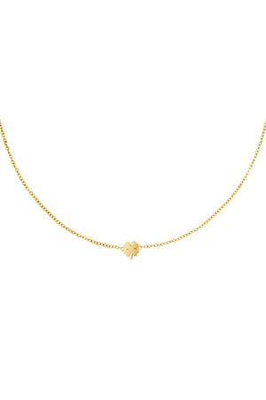 Stainless steel necklace clover Gold color h5 