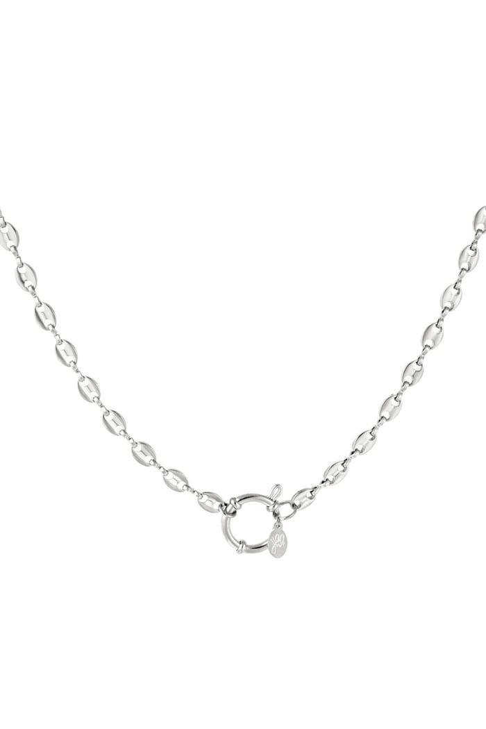 Stainless steel linked necklace Silver color 