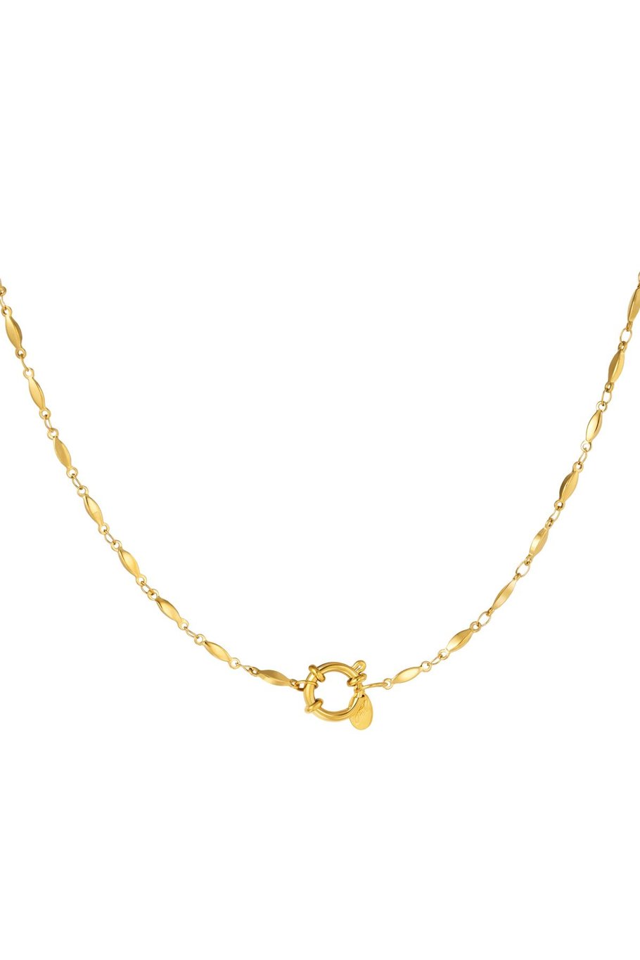 Catena in acciaio inossidabile Gold Stainless Steel 