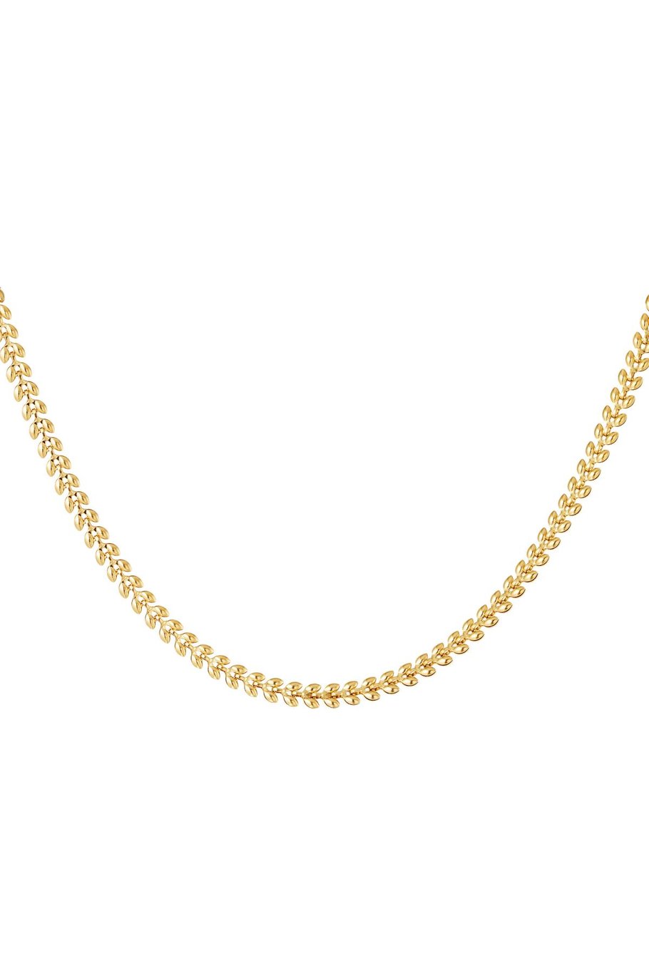 Foglie di collana Gold Stainless Steel 