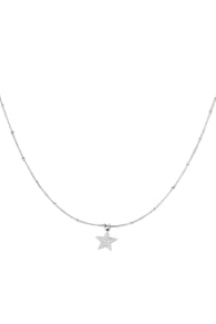 silver Picture2