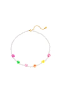 Multicolour 