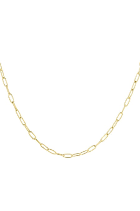 Link chain basic Gold Color Stainless Steel 2