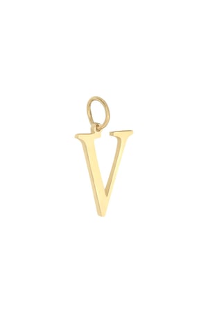 Charm V Gold Stainless Steel h5 