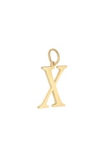 Gold color / Charm X Gold Color Stainless Steel Picture26