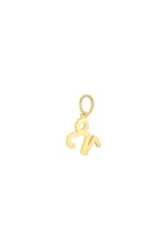 Colore oro / Charm Zodiac Capricorn Gold Stainless Steel Immagine10