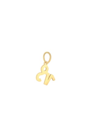 Charm Zodiac Capricorn Gold Color Stainless Steel h5 