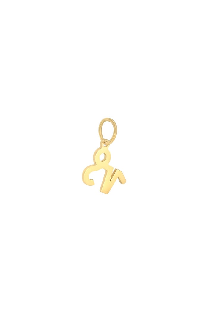 Charm Zodiac Capricorn Gold Color Stainless Steel 