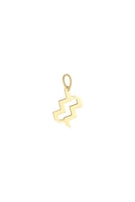 Colore oro / Charm Zodiac Aquarius Gold Stainless Steel Immagine5