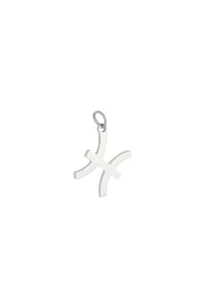 Charm Zodiac Pisces Argenté Acier inoxydable h5 