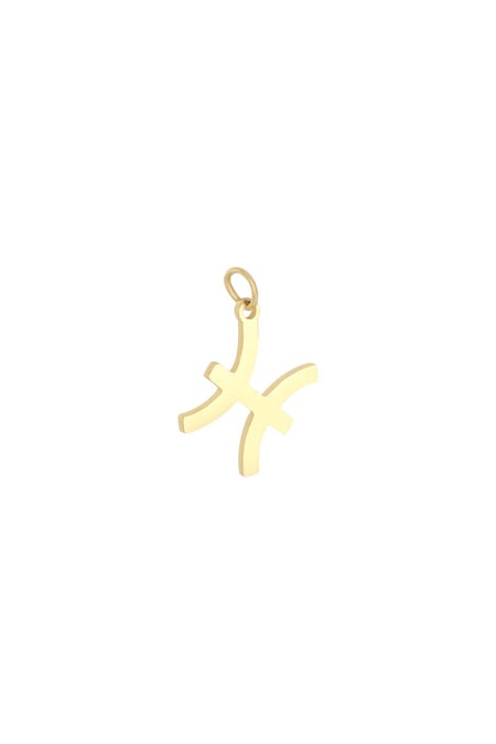 Charm Zodiac Pisces Gold Color Stainless Steel 2