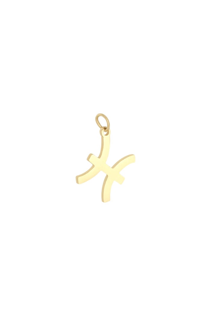 Charm Zodiac Pisces Goldfarbe Edelstahl 