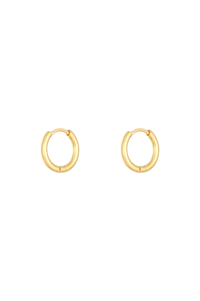 Earrings Little Hoops 1.4cm Gold Color Stainless Steel 