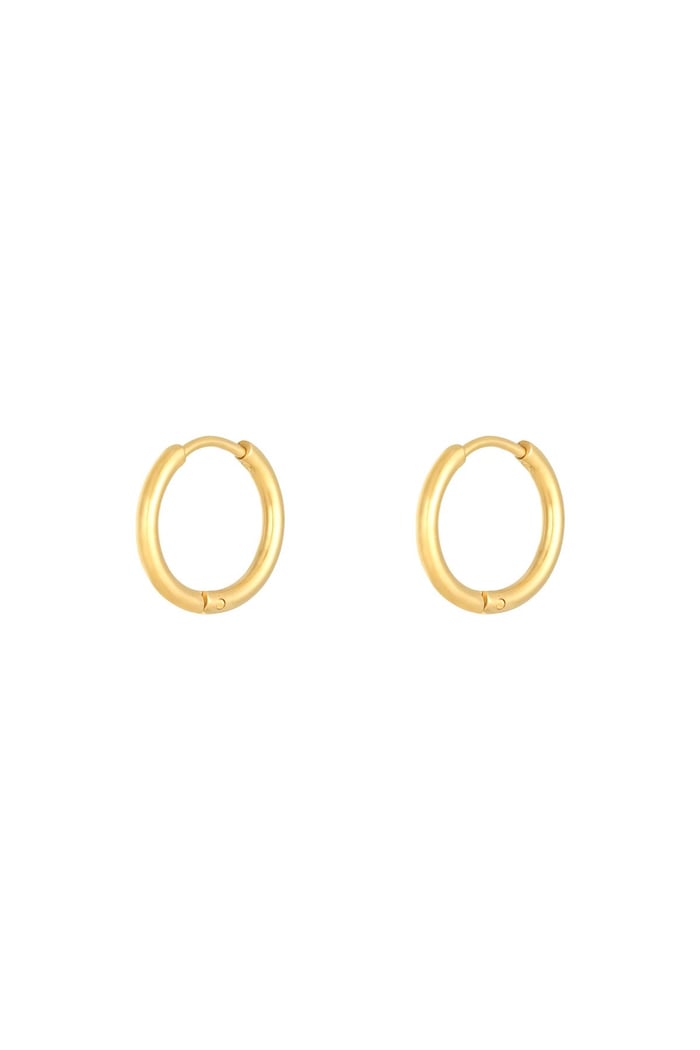 Earrings Little Hoops 1,6cm Gold Color Stainless Steel 