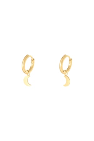 Earrings Moon Gold Color Stainless Steel h5 