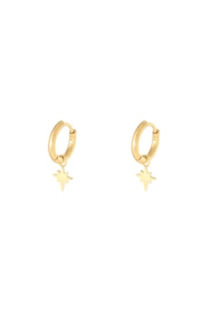 Earrings Spark Gold Color Stainless Steel h5 